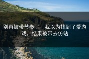 别再被带节奏了，我以为找到了爱游戏，结果被带去仿站