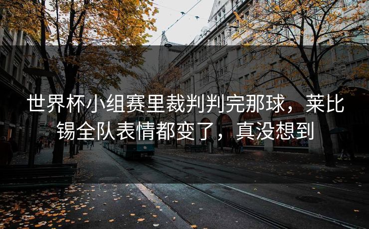 世界杯小组赛里裁判判完那球,莱比锡全队表情都变了,真没想到 世界杯小组赛里裁判判完那球,莱比锡全队表情都变了,真没想到
