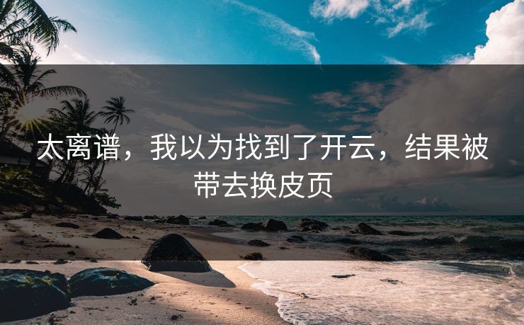 太离谱,我以为找到了开云,结果被带去换皮页 太离谱,我以为找到了开云,结果被带去换皮页